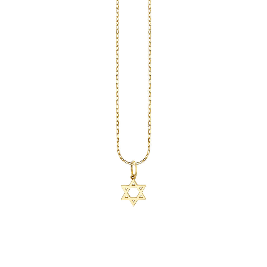 Pure Gold Tiny Jewish Star Charm - Sydney Evan Fine Jewelry